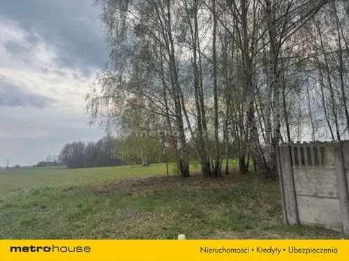SGDEJE499 - zdjęcie nr 0
