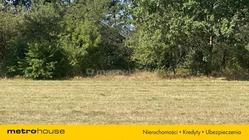 SGRINU265 - zdjęcie nr 0