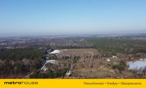 SGZOFI253 - zdjęcie nr 0