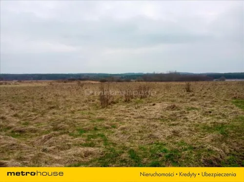 RUGE668 - zdjęcie nr 0