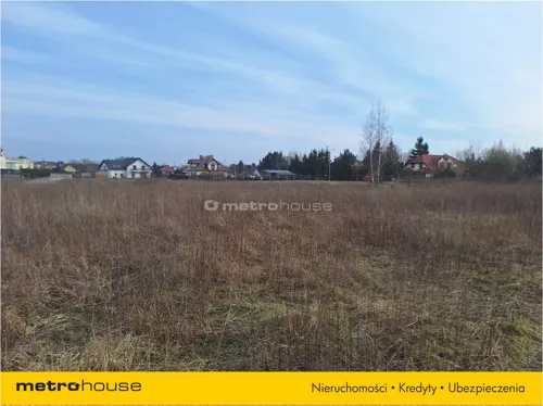 RIKE819 - zdjęcie nr 0