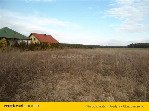 RISY276 - zdjęcie nr 0