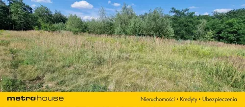 SGMAZU480 - zdjęcie nr 0