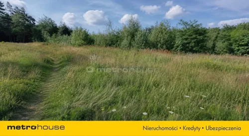 SGKOCE237 - zdjęcie nr 0