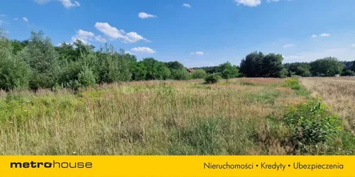 SGJEHO214 - zdjęcie nr 0