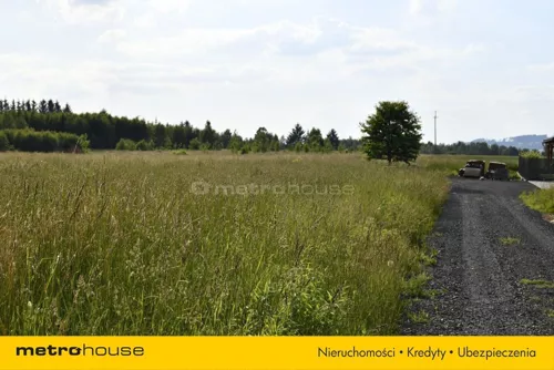 SGMUMO759 - zdjęcie nr 0