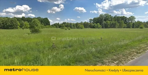 NEMY441 - zdjęcie nr 0