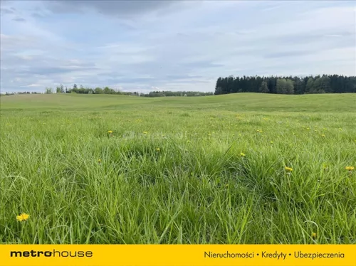 XEGU304 - zdjęcie nr 0