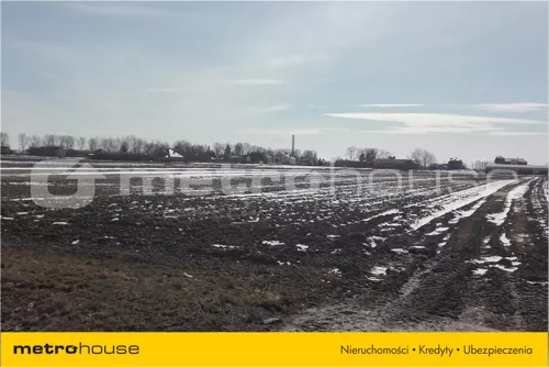 LAMI863 - zdjęcie nr 0