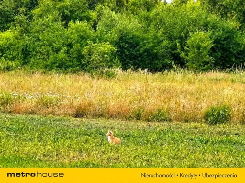 SGBUPE144 - zdjęcie nr 0
