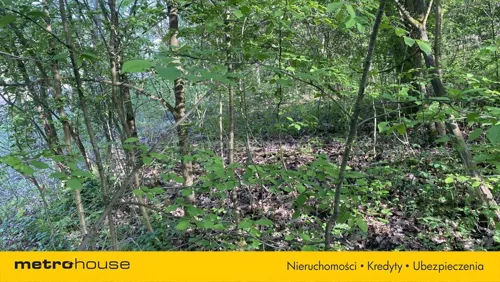 SGNITI134 - zdjęcie nr 0