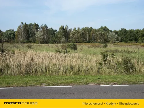 PANU969 - zdjęcie nr 0