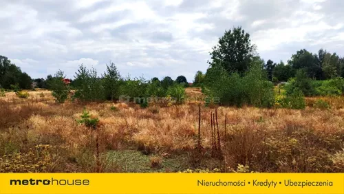 SGCOJA372 - zdjęcie nr 0