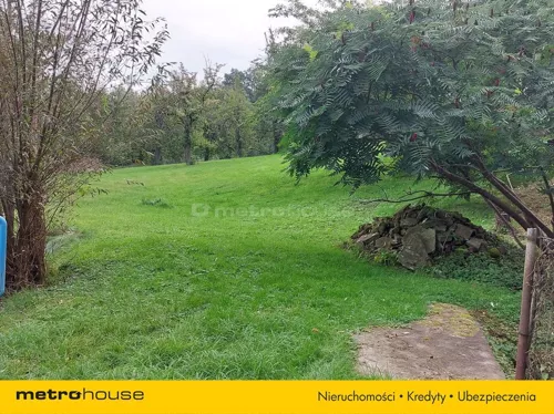 SGNORA618 - zdjęcie nr 0
