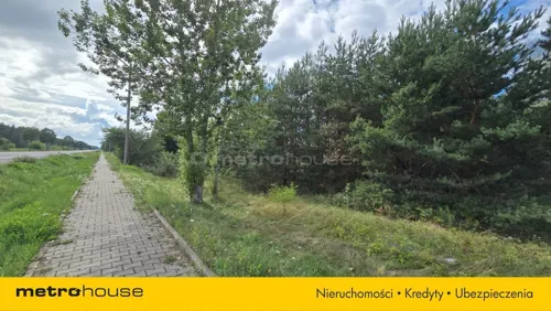 SGCIVA987 - zdjęcie nr 0