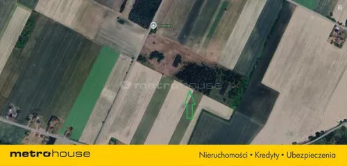 SGNICE822 - zdjęcie nr 0