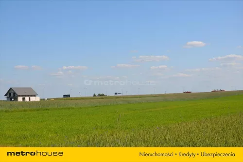 DOGI785 - zdjęcie nr 0