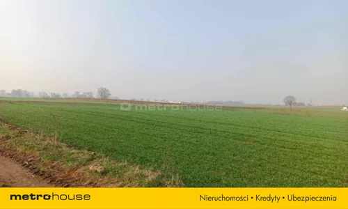 SGDOSE345 - zdjęcie nr 0