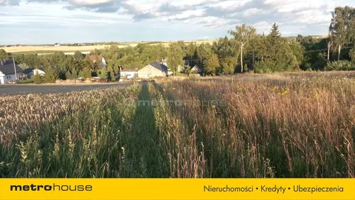 SGJINE896 - zdjęcie nr 0