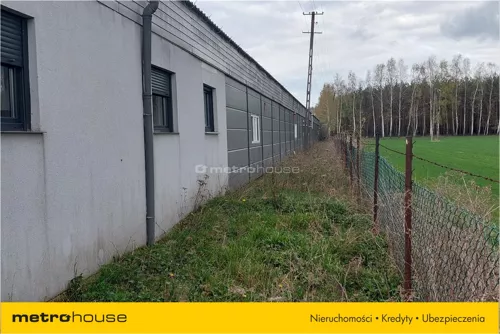 BIZU362 - zdjęcie nr 0