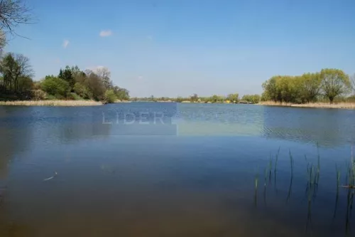 1123/2145/OGS - zdjęcie nr 0