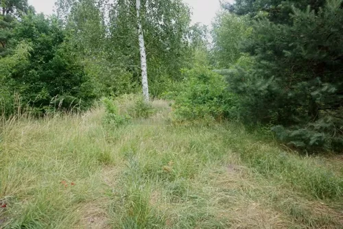 7743/2145/OGS - zdjęcie nr 0