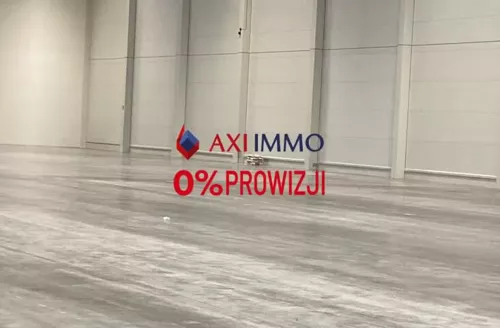 11458 - zdjęcie nr 0