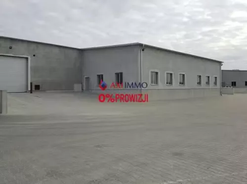 11277 - zdjęcie nr 0