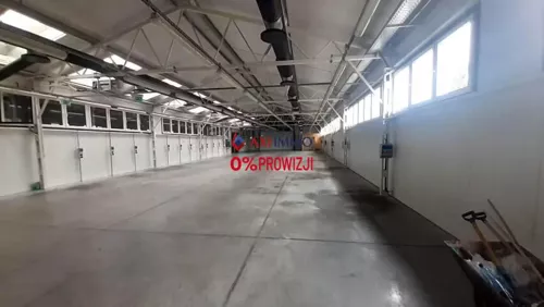 11647 - zdjęcie nr 0