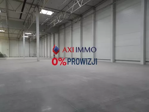 11131 - zdjęcie nr 0