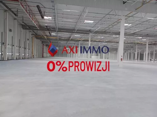 11457 - zdjęcie nr 0