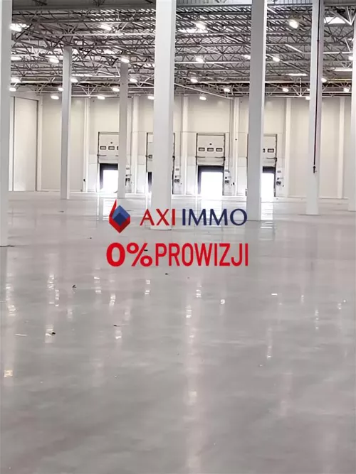 11062 - zdjęcie nr 0