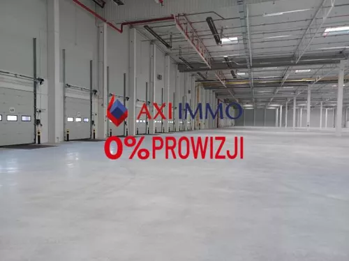 11413 - zdjęcie nr 0