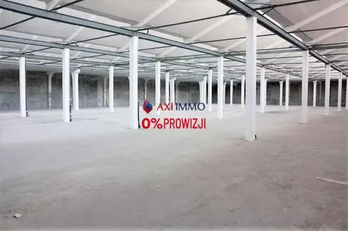 10812 - zdjęcie nr 0