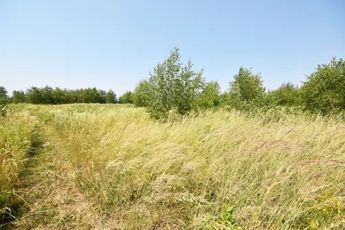 1065/17584/OGS - zdjęcie nr 0