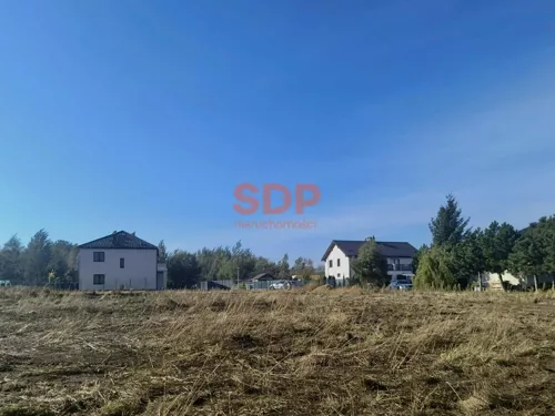 44535 - zdjęcie nr 0