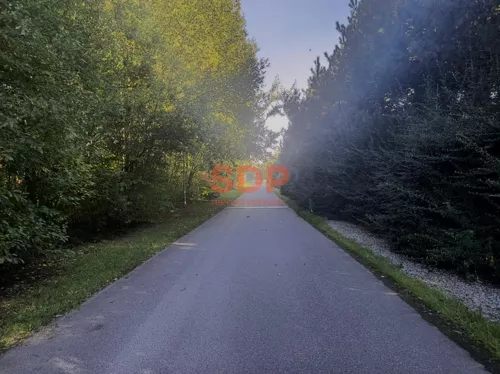 44536 - zdjęcie nr 0