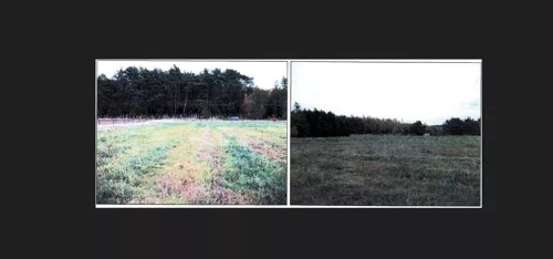 TTT-000001935 - zdjęcie nr 0