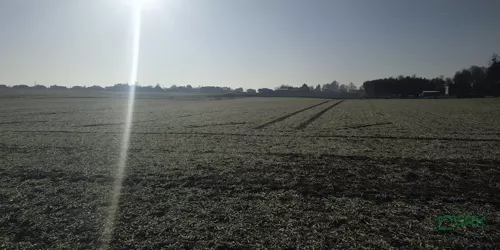 3/24/01/2020 - zdjęcie nr 0