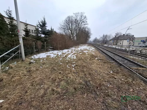 4/26/01/2026 - zdjęcie nr 0