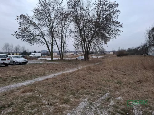 3/4/01/2026 - zdjęcie nr 0