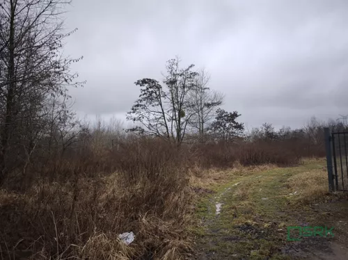 2/1/02/2026 - zdjęcie nr 0