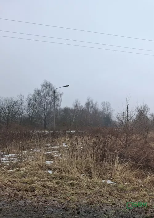 4/11/01/2026 - zdjęcie nr 0