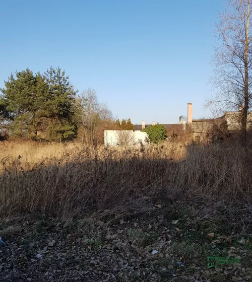 3/2/01/2020 - zdjęcie nr 0