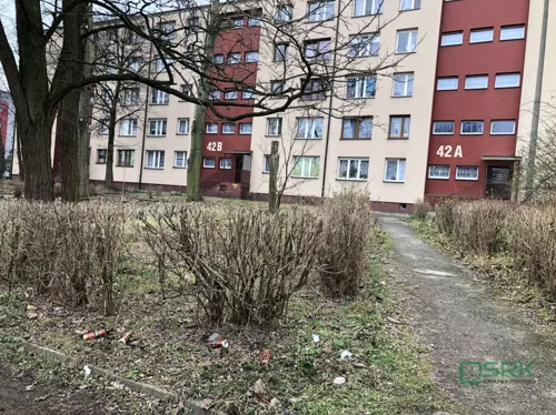 4/28/12/2019 - zdjęcie nr 0
