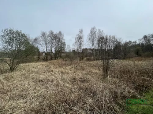 4/9/05/2026 - zdjęcie nr 0