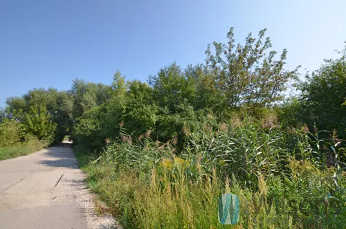 WIL164488 - zdjęcie nr 0