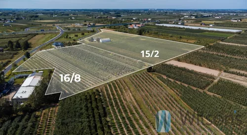 WIL485300 - zdjęcie nr 0