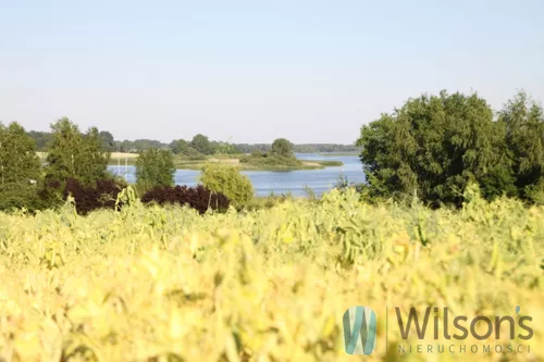 WIL321647 - zdjęcie nr 0