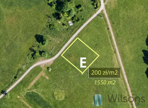 WIL310826 - zdjęcie nr 0